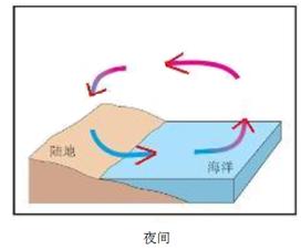 陸海風 陸海風