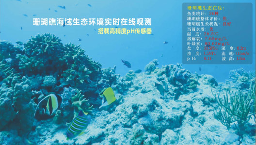 海洋觀測 海洋觀測