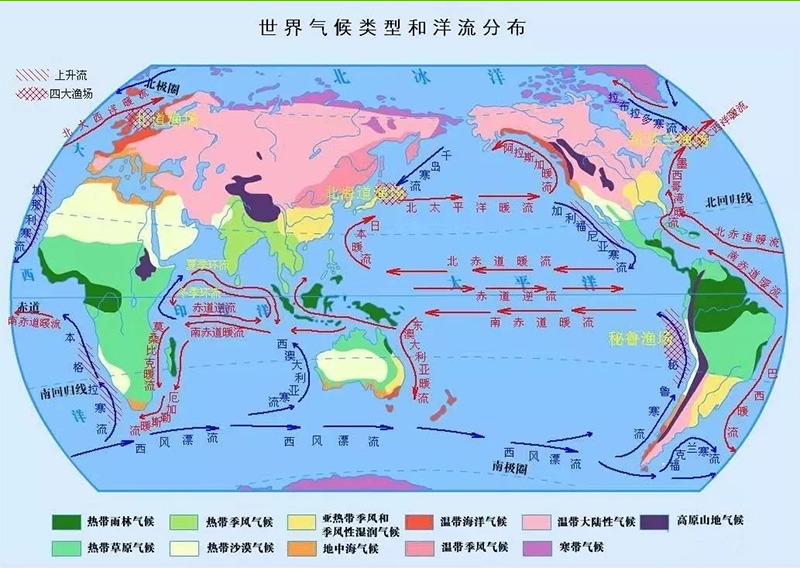 洋流 洋流