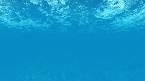 海洋 海洋