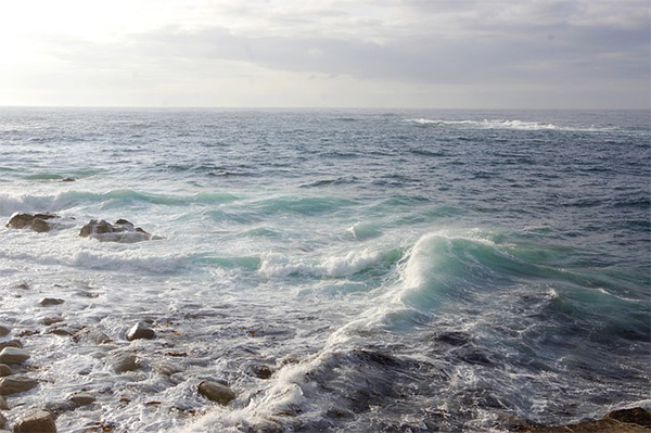 海洋 海洋
